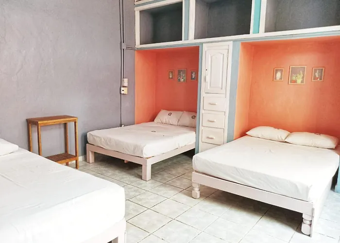 Riad Lola